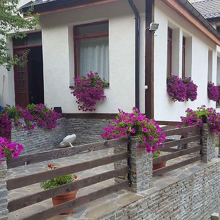 Villa Ana Marija Duracka Reka Экстерьер фото