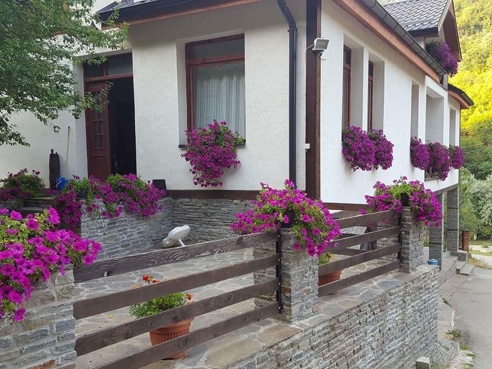 Villa Ana Marija Duracka Reka Экстерьер фото