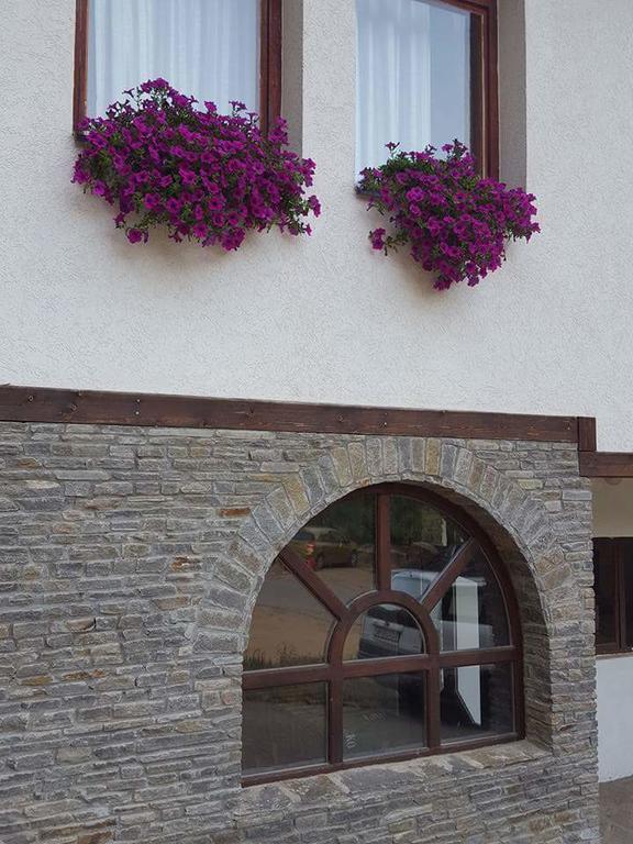Villa Ana Marija Duracka Reka Экстерьер фото